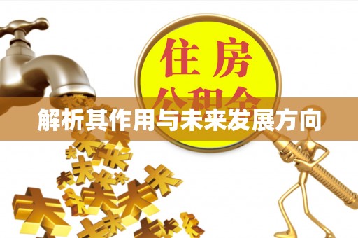 口湖解析其作用与未来发展方向