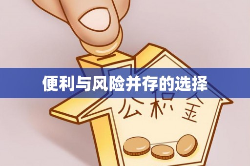 口湖便利与风险并存的选择
