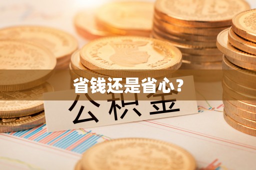 口湖省钱还是省心？