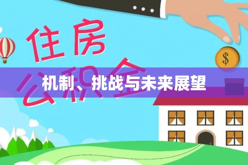 口湖机制、挑战与未来展望